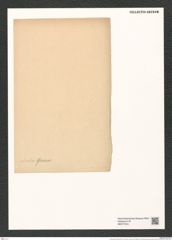 Actinocyclus incertus Grun. (de-Toni-Nr.: Genus 195, Species 4748) Zeichnungen Sammlung Grunow (NHMW-BOT-W0377816)